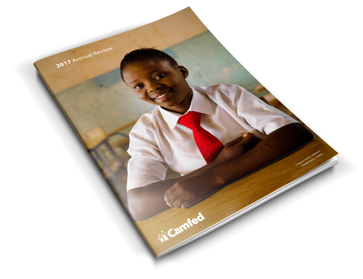 Camfed Annual Review 2017 (international version)