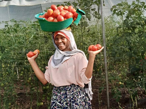 CAMFED Association member Ashura with the tomato harvest grown in collaboration with other young women in Tanzania