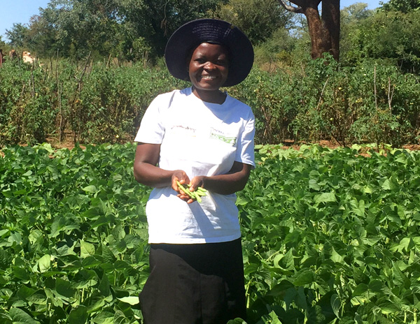 Beauty amongst her crop of bio-fortified beans.