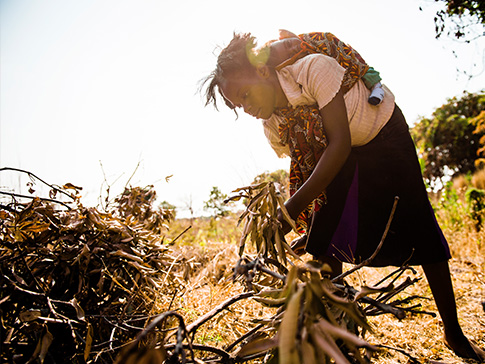 Doreen collecting firewood