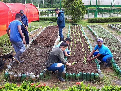 Forget planting out crops with other EARTH University students