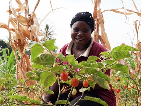 CAMFED Association member Mwanaisha on her farm in Tanzania