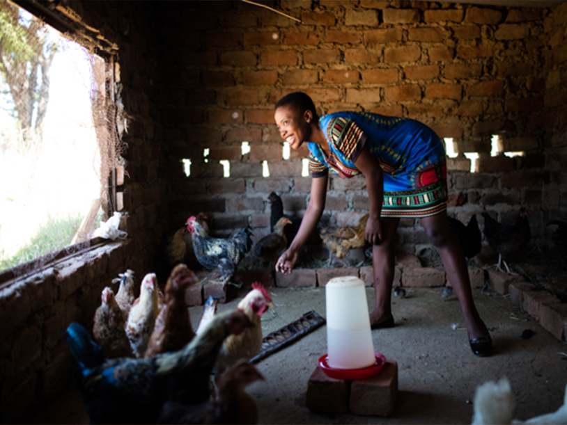 Lindiwe feeding her chickens