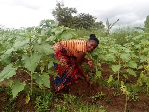 Chise tending crops
